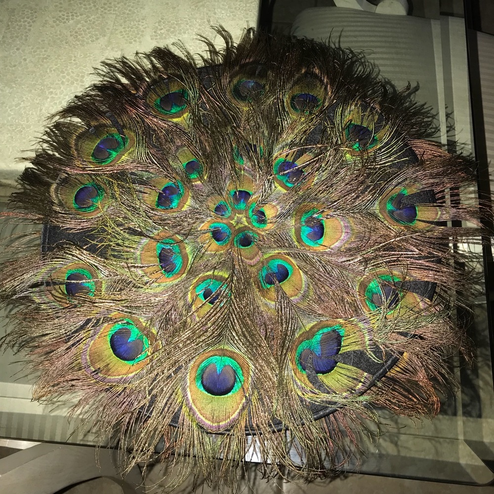 Peacock feather